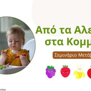 Σεμινάριο Μετάβασης από Αλεσμένα σε Κομμάτια